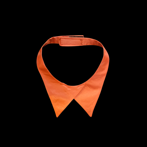 U.S. Army Signal Corps Orange Female Dress Blue Neck Tab